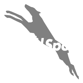 grandsport